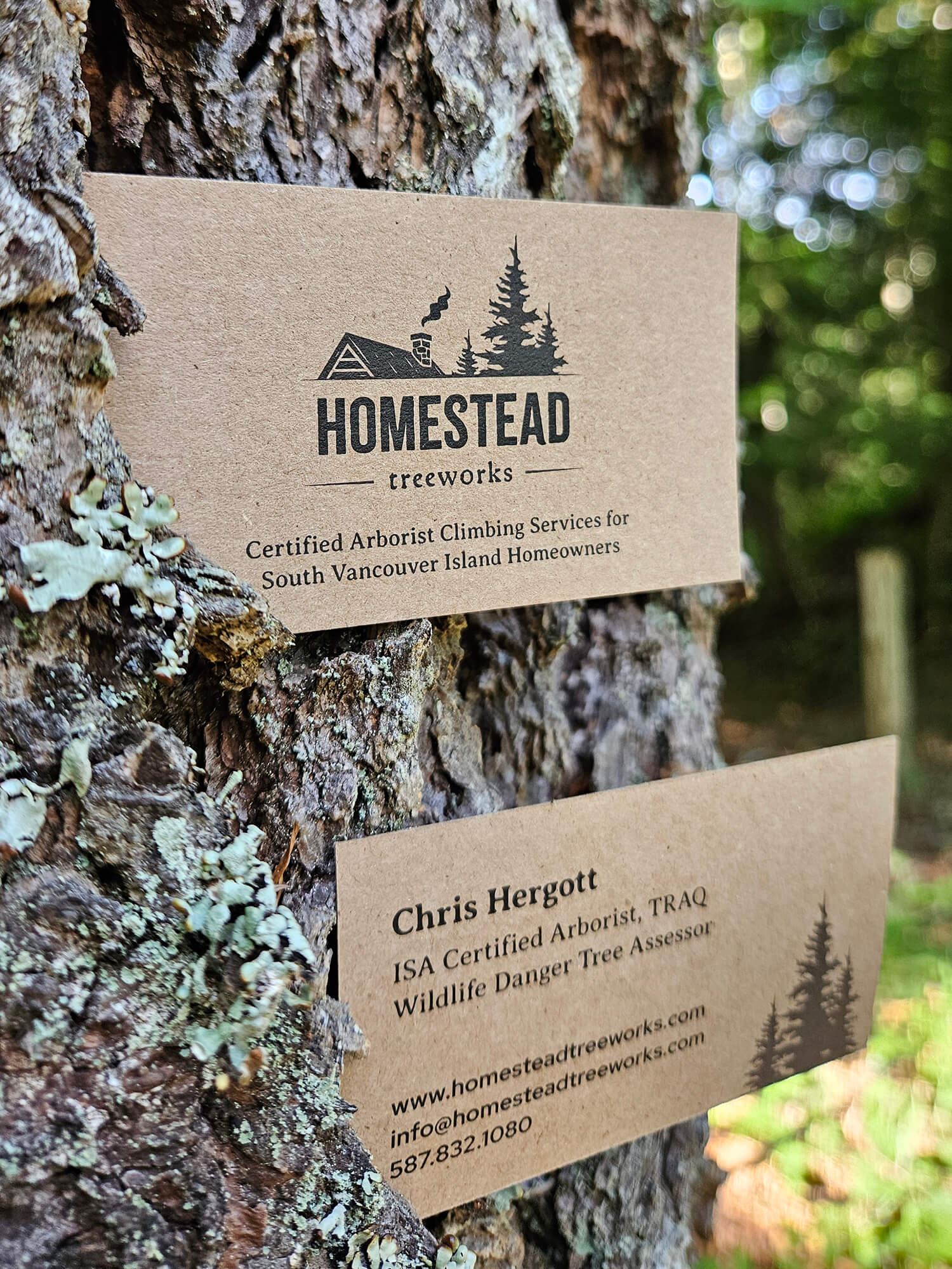 logo and business card design for a tree care company on vancouver island - business cards placed in bark of tree with blurred trees in background